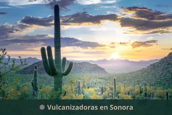Vulcanizadoras en Sonora