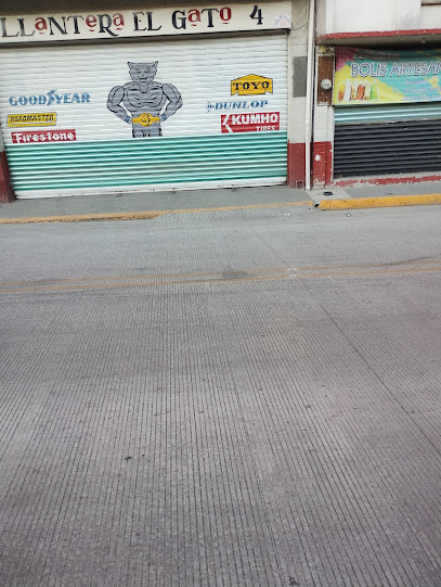 Vulcanizadora El Gato en Nicolás Romero