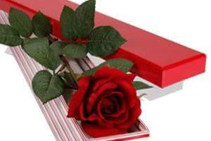 Importadora y Proveedora de Llantas Nuevas y Usadas San Pedro S.A. de C.V. en Mexicali