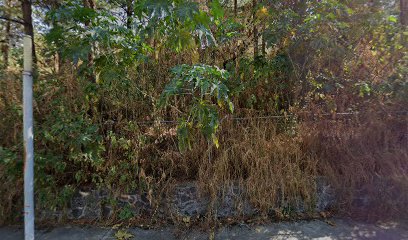 Vulcanizadora Cuahtemoc Talachas en Álvaro Obregón