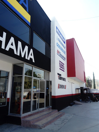 Llasedelsa Laguna en Torreón