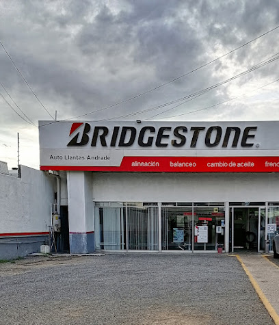 Bridgestone (Blvd. Adolfo López Mateos) en León