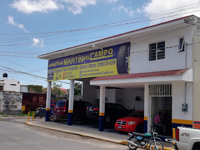 Goodyear Martín del Campo en Tepic