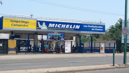 Grupo Vega Campestre (Goodyear) en León