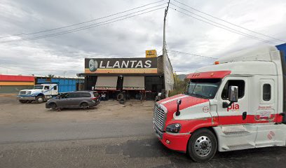 Llantera Armadillo en Tepic