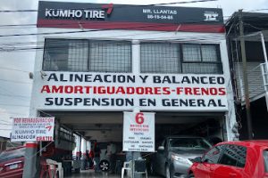 Llantera (Bosques de Ixtacala) en López Mateos