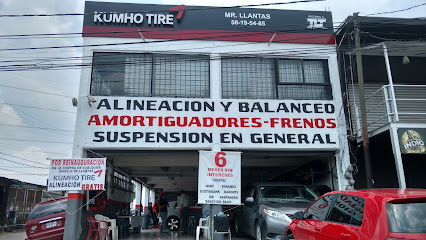 Llantera (Bosques de Ixtacala) en López Mateos