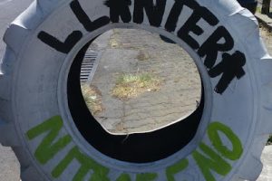Llantera Nitrogeno en Guadalajara