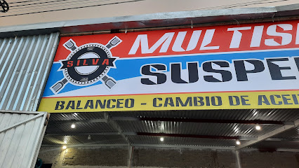 Llantera Silva en León