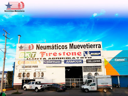 Neumáticos Muevetierra, Sucursal Irapuato en Irapuato