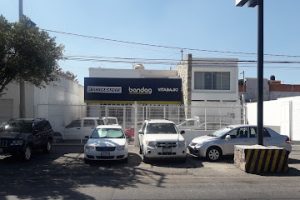 Vita Bajio en Salamanca