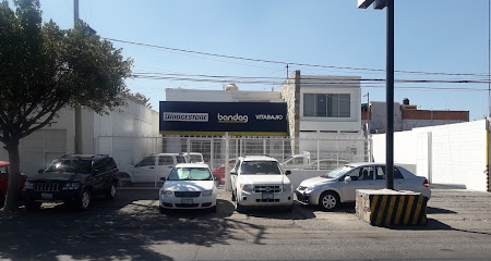 Vita Bajio en Salamanca