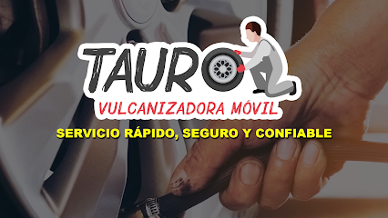 Vulcanizadora Móvil Tauro en Acapulco