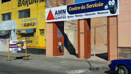 Amn Supplier Llantas y Centro de Servicios (Av. Damián Carmona) en San Luis Potosí