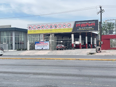 Llantas Gigantes y Servicios Peña, S.A. de C.V. en Guadalupe