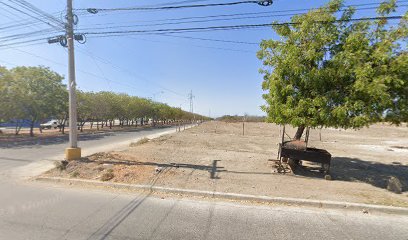 Llantera del Pacífico en Mazatlán