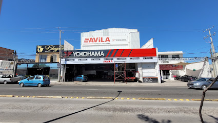 Rines y LlantasÁvila (Av. de La Luz) en Querétaro