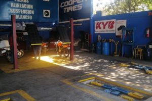 Villantas en Guadalupe