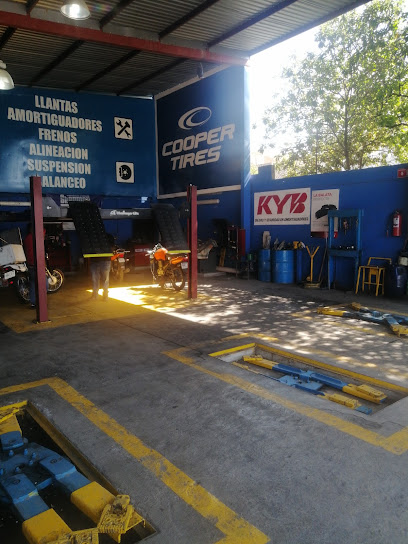 Villantas en Guadalupe