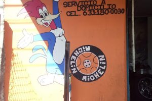 Desponchado y Vulcanizado El Pájaro en Nogales