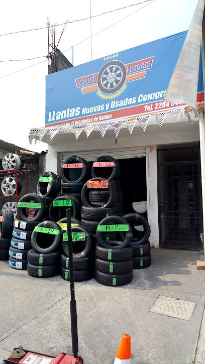 Multillantas Económicas en Xalapa