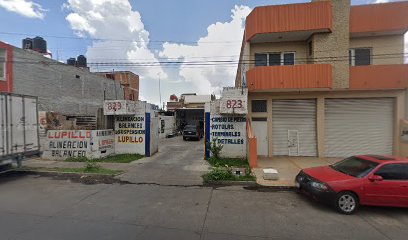 Lupillo en Zamora