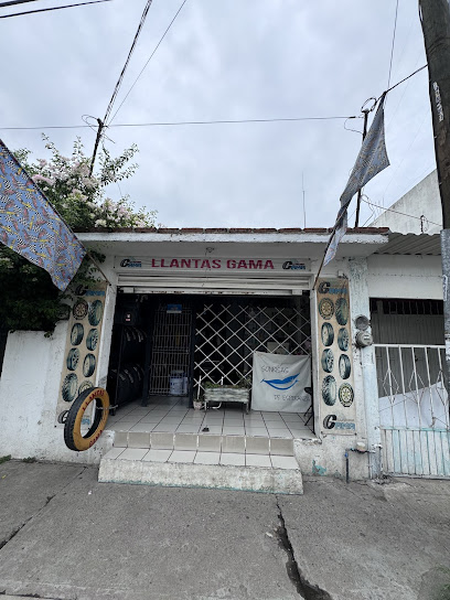 Llantas Gama en Salamanca