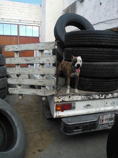 Vitalizadora Ram en Torreón