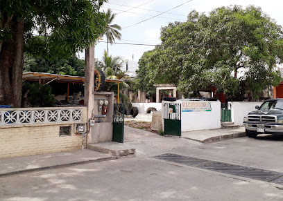 Vulcanizadora (Veracruz 202) en Tampico