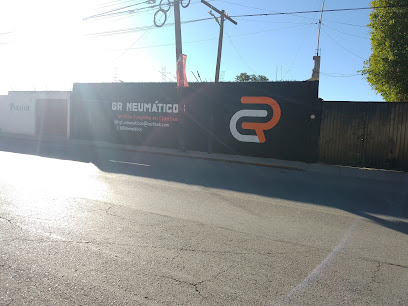 Gr Neumáticos en Tulancingo