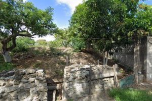 Llantas Orneli en Altamira