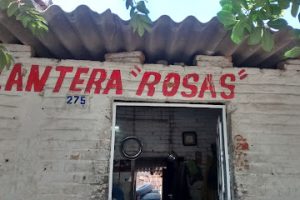 Llantera Rosas en Puerto Vallarta