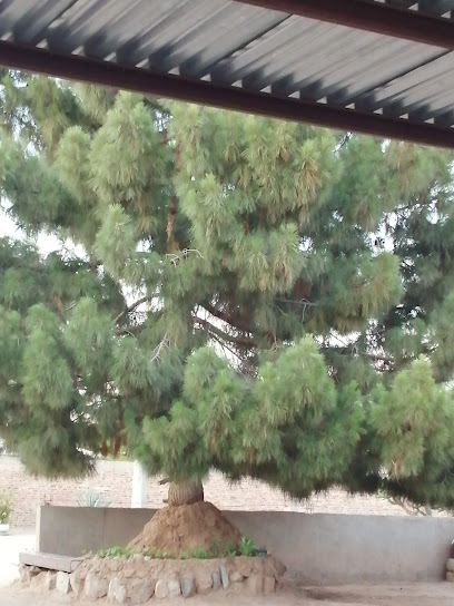 Llantera en San Luis Río Colorado